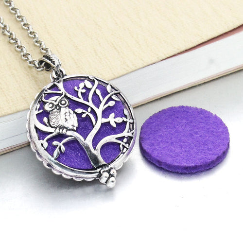 New Aroma Diffuser Necklace Open Silver Lockets